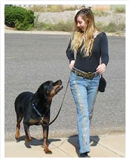 Dog trainer Adrienne Farricelli walking her Rottweiler on a loose leash
