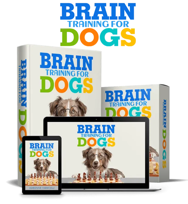 Brain Training for Dogs online course by Adrienne Farricelli shown on a laptop, tablet and box set